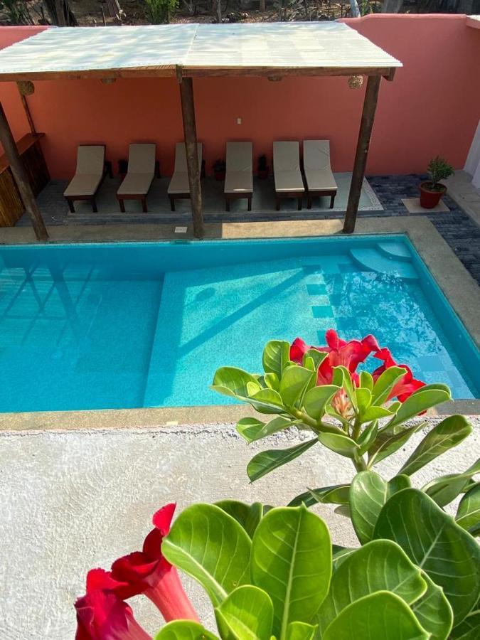 Casa Suites Minizoo Puerto Escondido  Extérieur photo